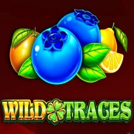 Wild Traces slot logo by Amusnet Interactive at Vincispin Casino